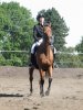 IMG_0137 800x600.jpg